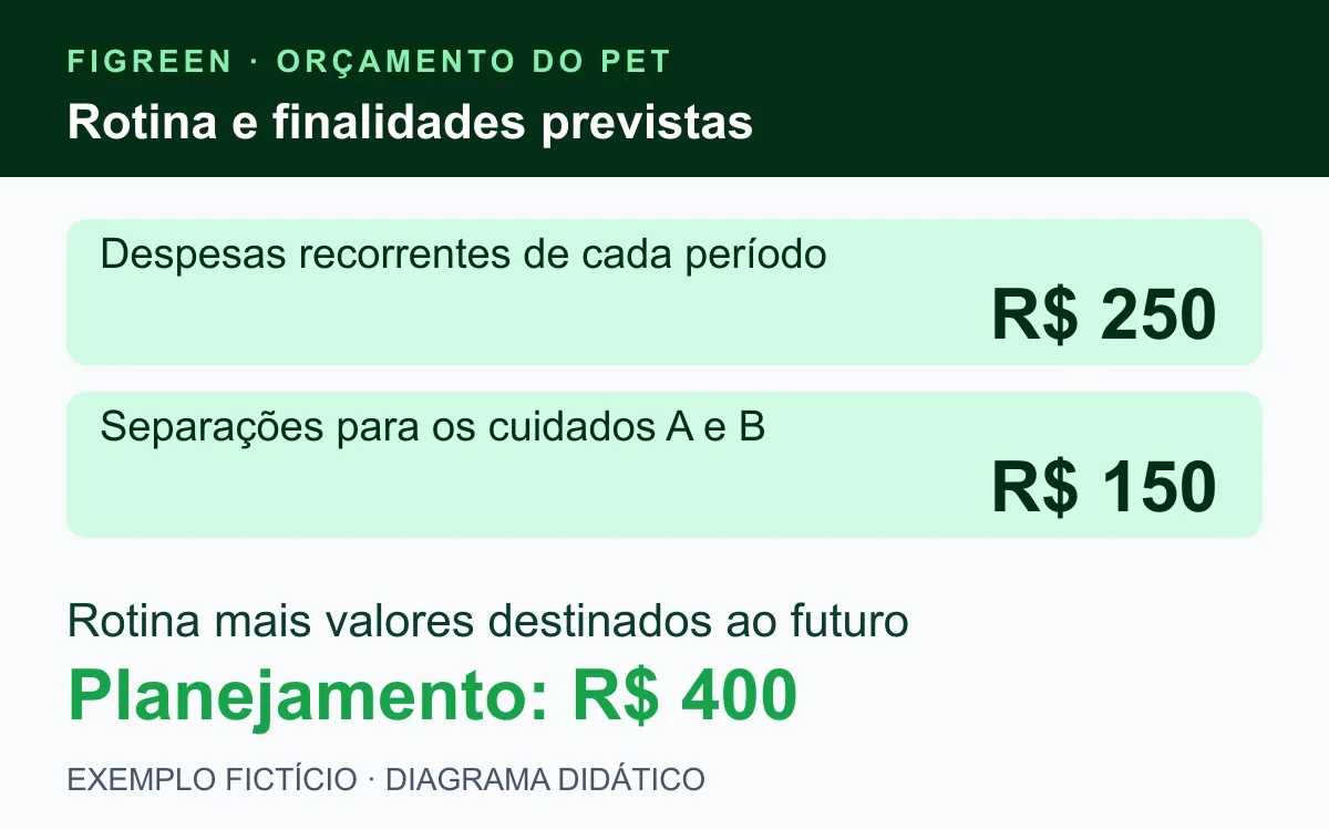 Exemplo fictício separa R$ 250 de rotina mensal e R$ 150 para dois cuidados previstos, totalizando R$ 400 no planejamento.